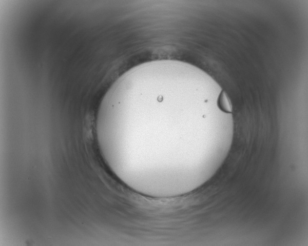 X0000063520038200602102003