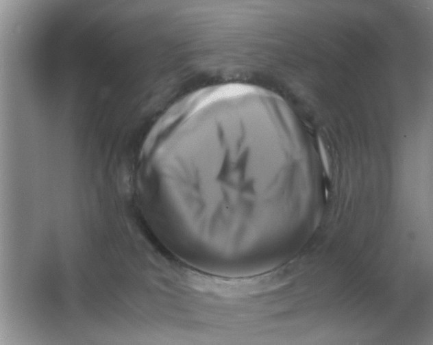 X0000063520039200602102003