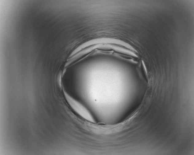 X0000063520047200602102003