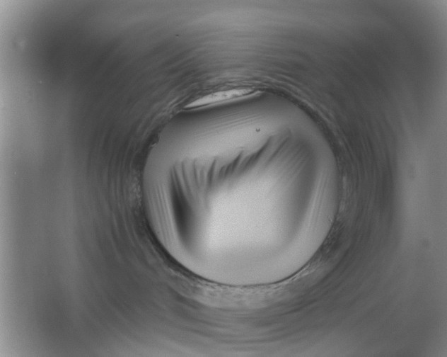 X0000063520048200602102003