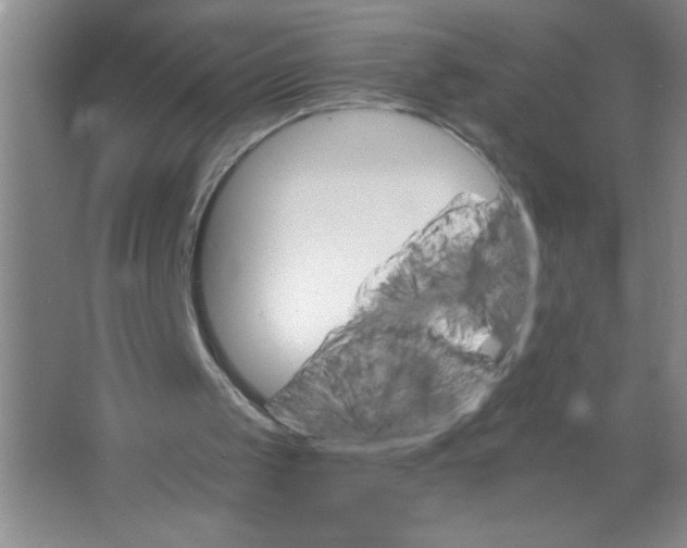 X0000063520049200602102002