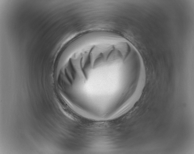 X0000063520050200602102002