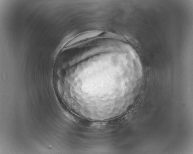 X0000063520051200602102002