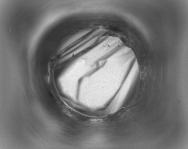 X0000063520052200602102002