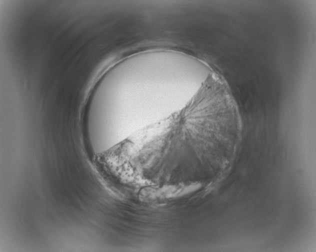 X0000063520053200602102002