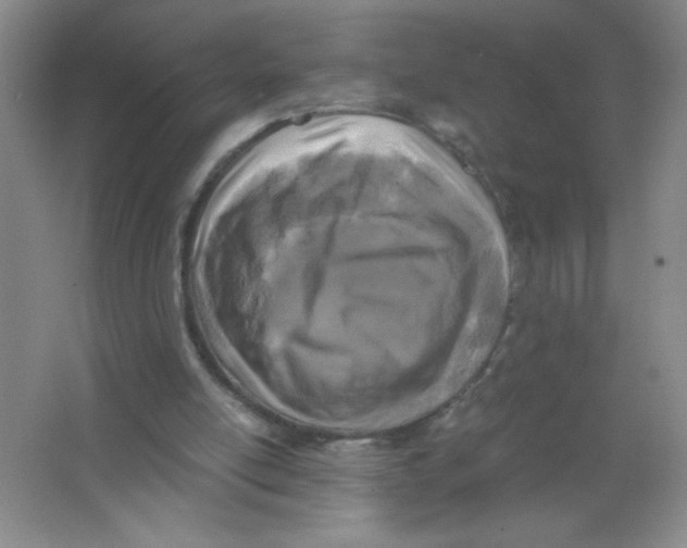 X0000063520054200602102002