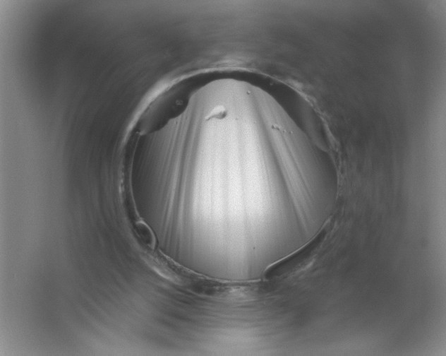 X0000063520056200602102002