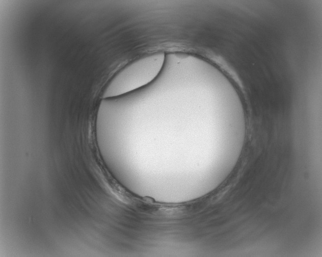 X0000063520057200602102002