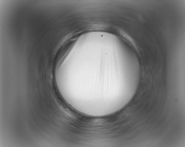 X0000063520059200602102002