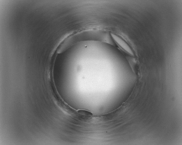 X0000063520060200602102002