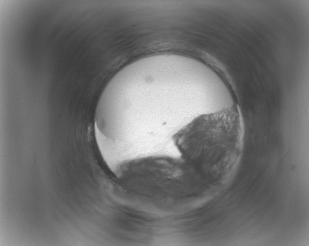 X0000063520065200602102002