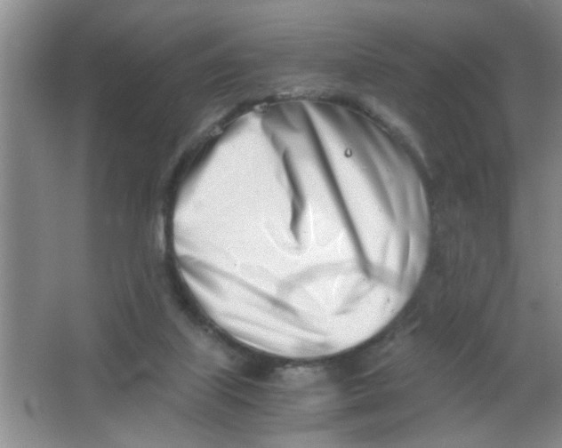 X0000063520067200602102002