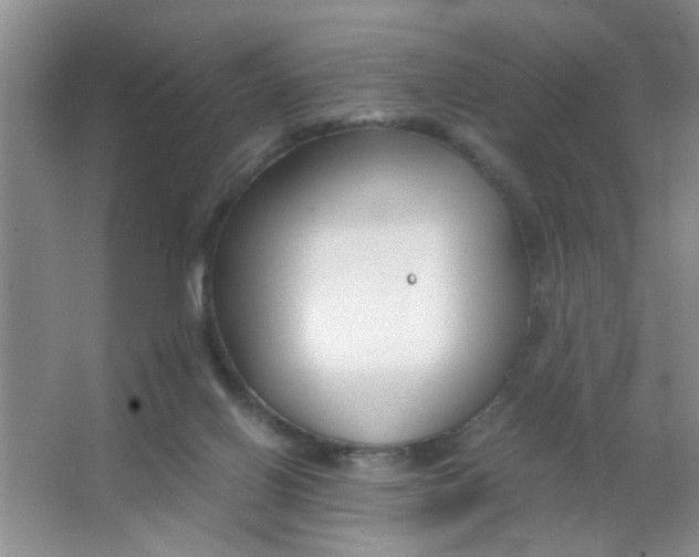 X0000063520070200602102002