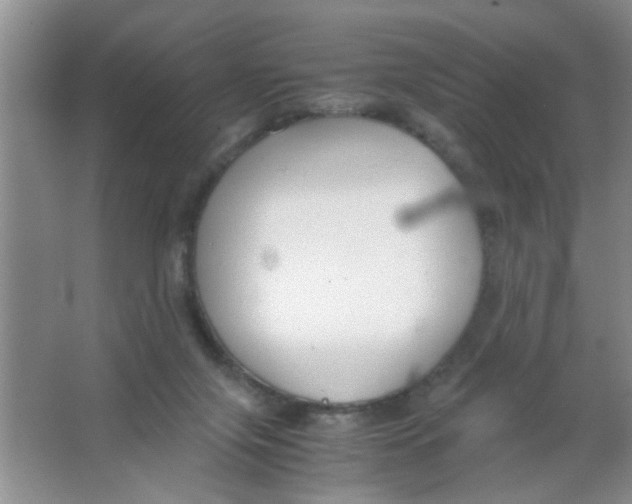 X0000063520071200602102002