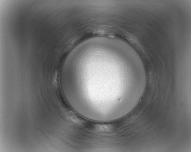 X0000063520073200602102002