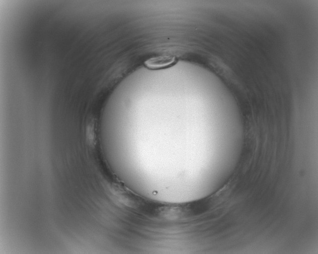 X0000063520074200602102002