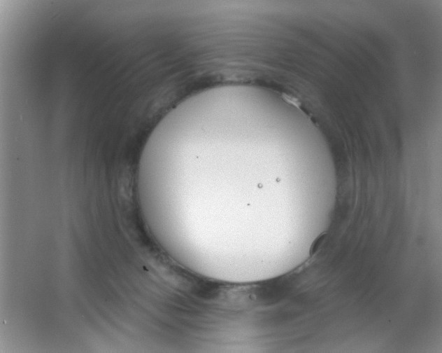 X0000063520078200602102002