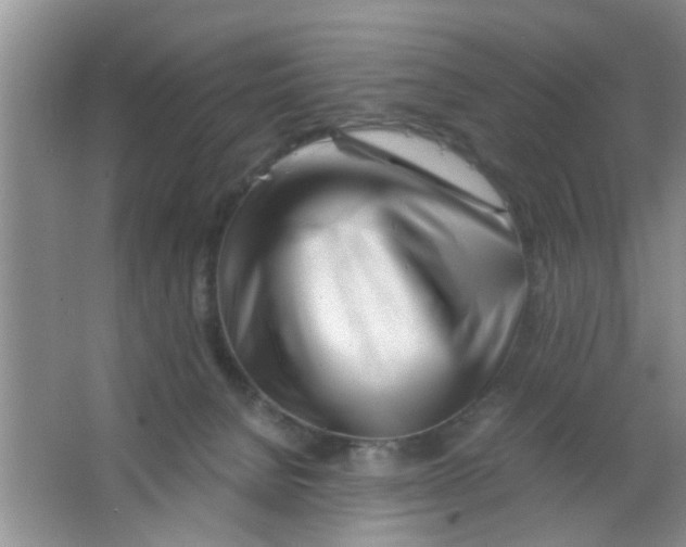 X0000063520080200602102002