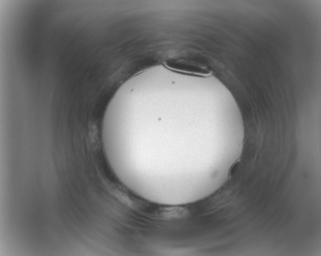 X0000063520087200602102002