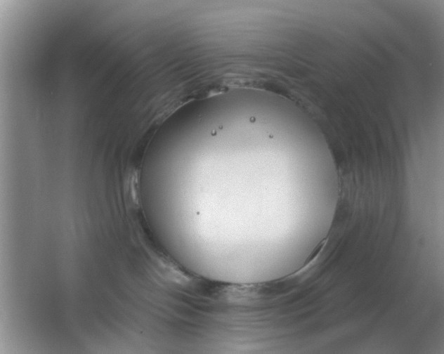 X0000063520094200602102003