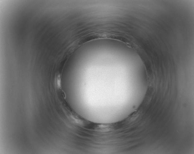 X0000063520095200602102003