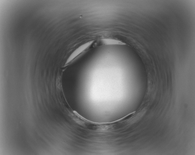 X0000063520096200602102003