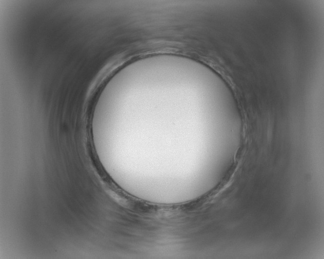 X0000063520101200602102002