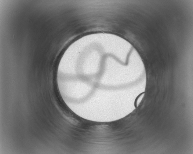 X0000063520108200602102002