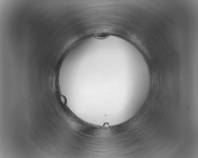 X0000063520110200602102002