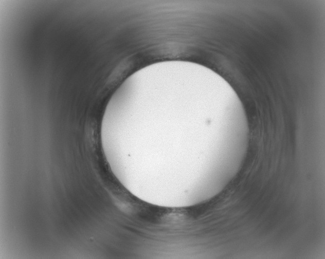 X0000063520119200602102001