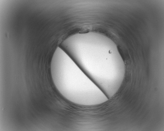 X0000063520125200602102001