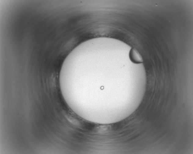 X0000063520126200602102001