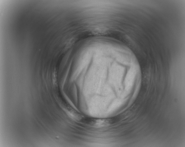 X0000063520130200602102001