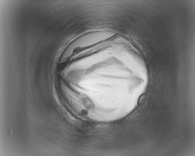 X0000063520145200602102000