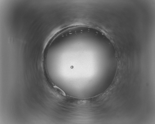 X0000063520152200602102000