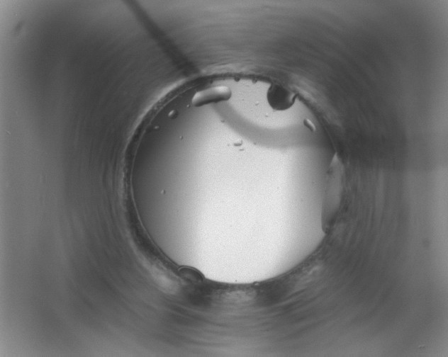 X0000063520156200602102000