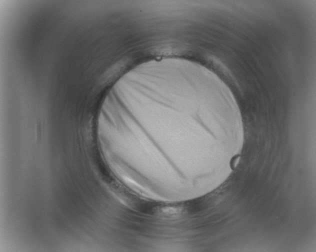 X0000063520163200602102000