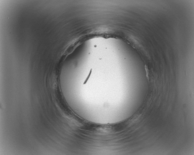 X0000063520164200602102000