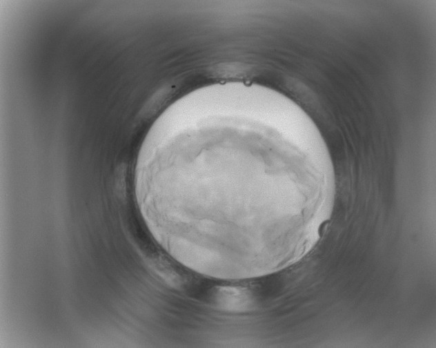 X0000063520167200602102001