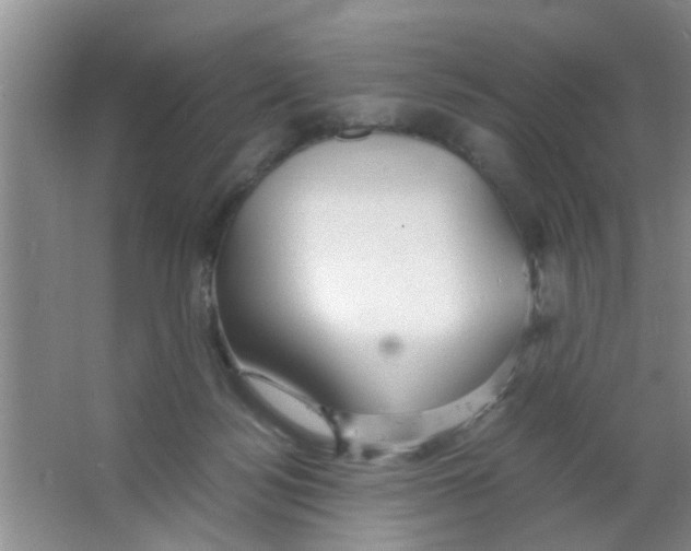 X0000063520172200602102001