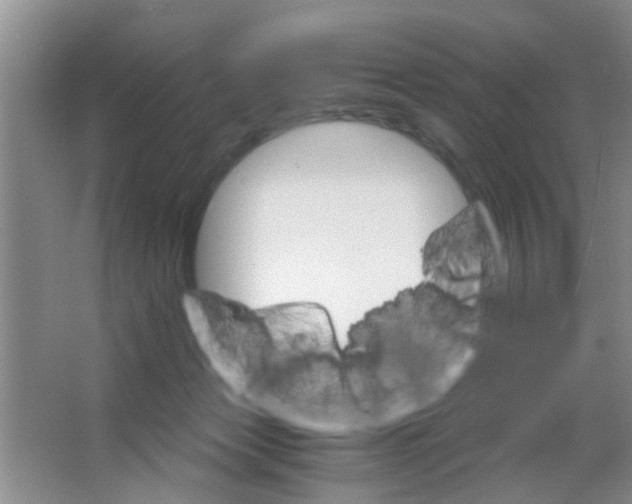 X0000063520173200602102001