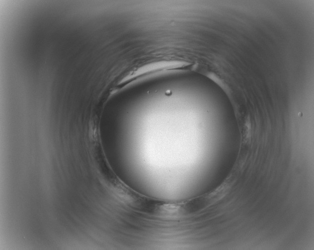 X0000063520176200602102001