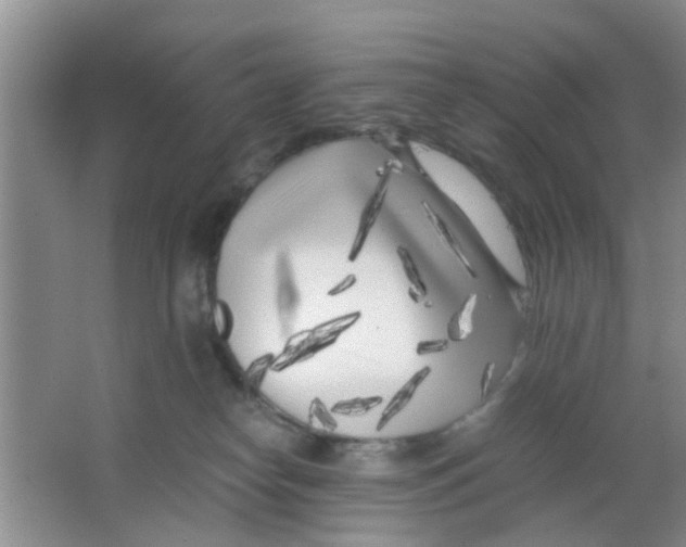 X0000063520182200602102001