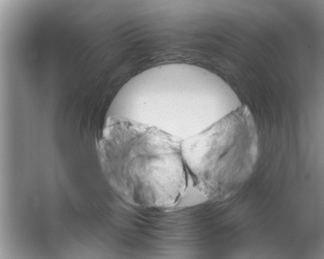 X0000063520185200602102001