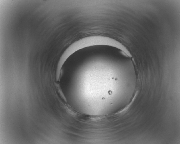 X0000063520190200602102001