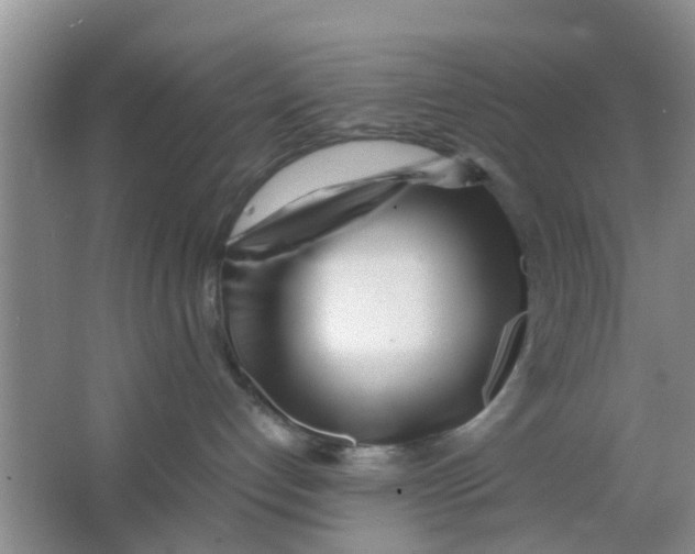 X0000063520192200602102001