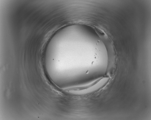 X0000063520193200602102000