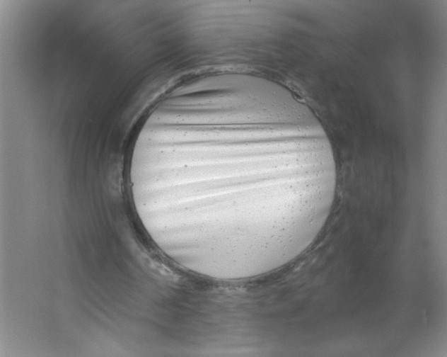 X0000063520194200602102000