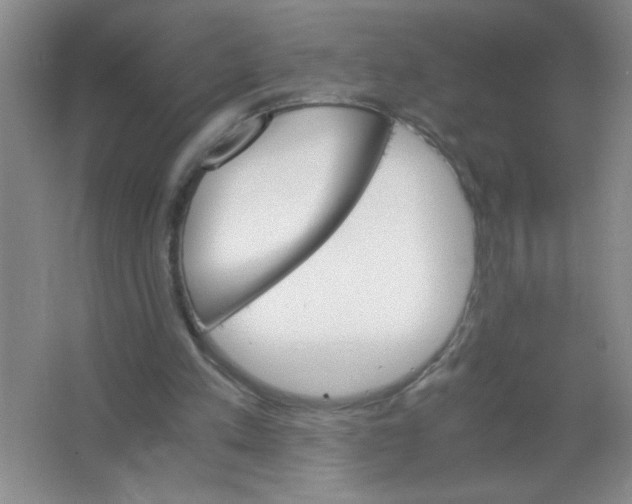 X0000063520197200602102000