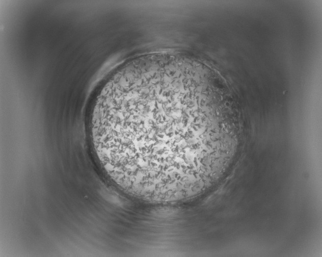 X0000063520198200602102000